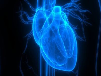پروتئینی که آسیب ناشی از حمله قلبی را کاهش می‌دهد