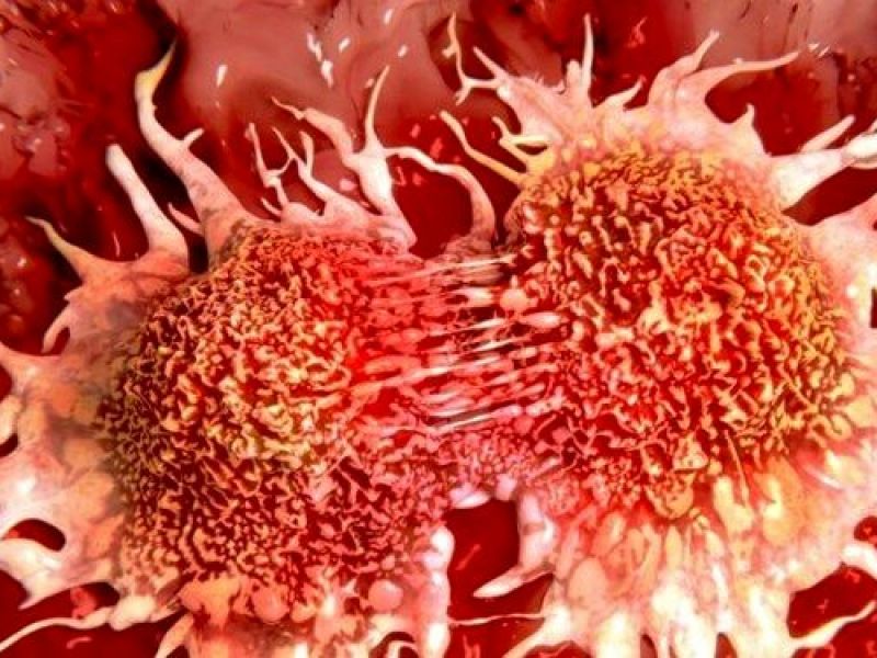 سلول‌هایی که می‌توانند به درمان سرطان پانکراس کمک کنند