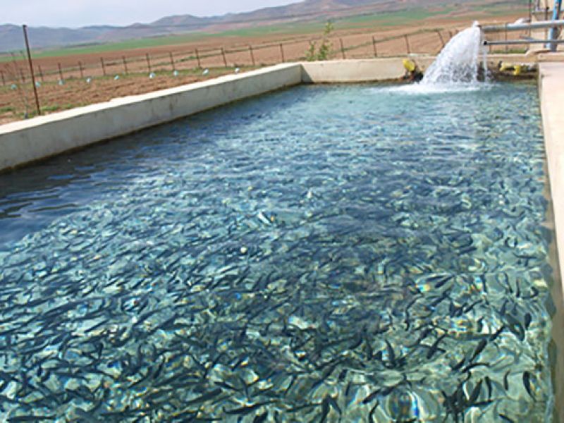 تولید «نانو آب» برای افزایش تولید در کشاورزی و شیلات