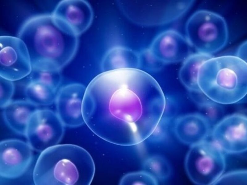 درمان نوزاد ۶ روزه با پیوند سلول‌های بنیادی