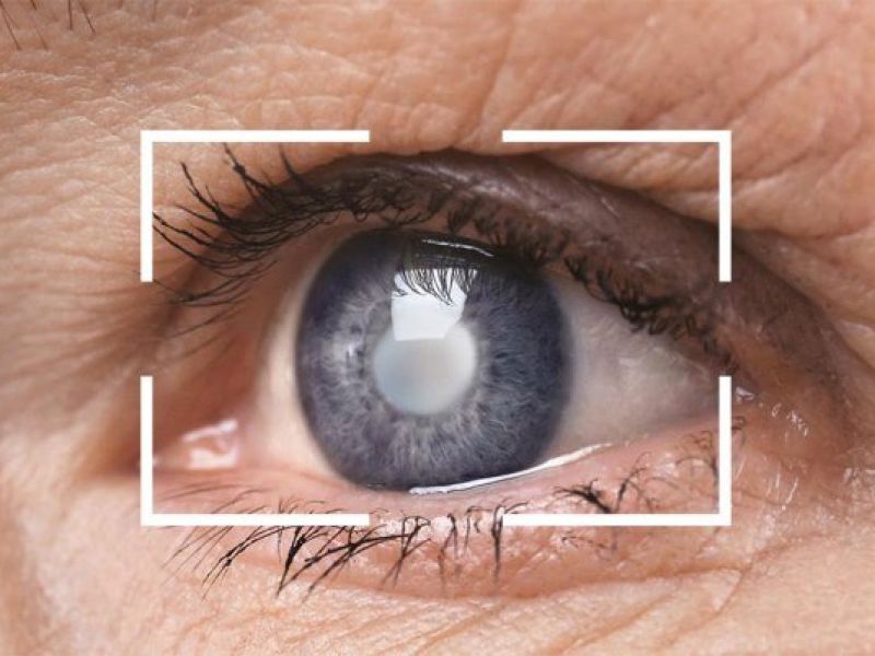 استفاده از یک آنتی اکسیدان طبیعی تاثیر مثبتی در شبکیه چشم دارد