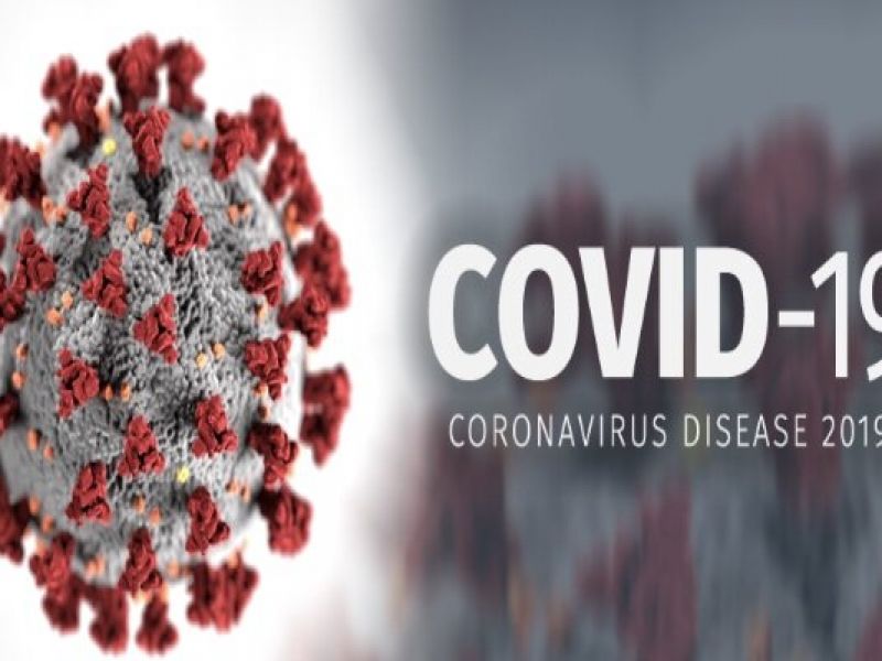 نسخه جهش یافته ویروس کرونا کمتر مرگبار است